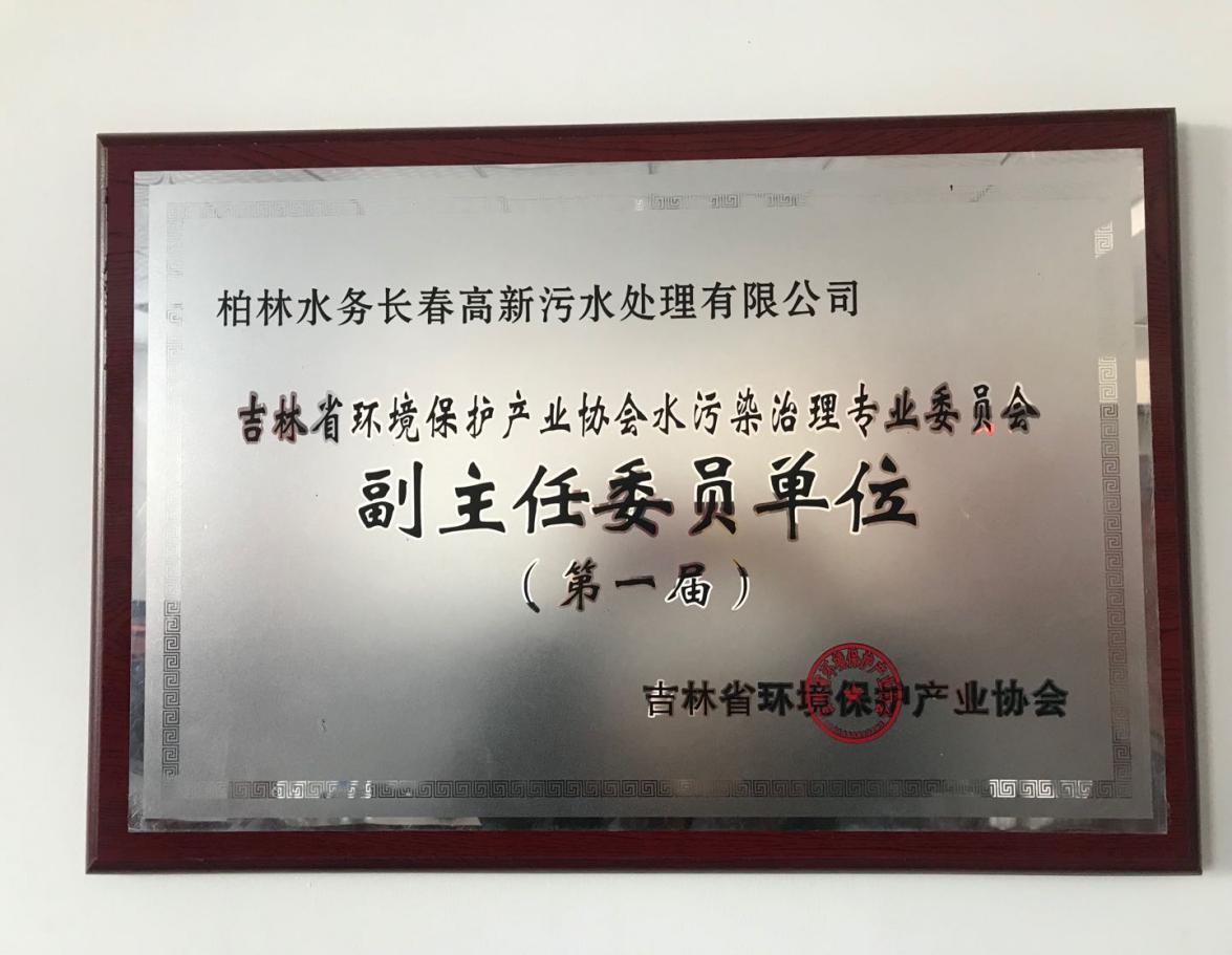 2015年度吉林省環(huán)境保護(hù)產(chǎn)業(yè)協(xié)會副主任單位